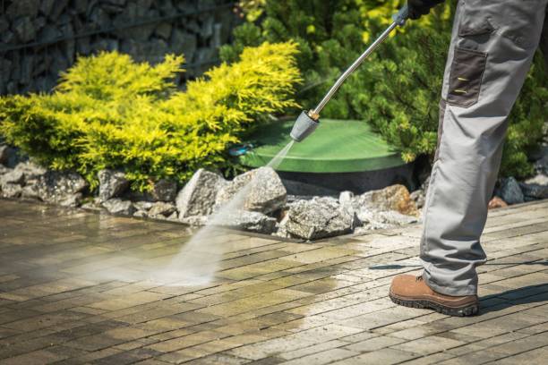 Best Gutter Cleaning  in Grandyle Village, NY